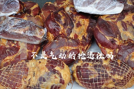 不是气动的枪违法吗 不是气动的枪违法吗