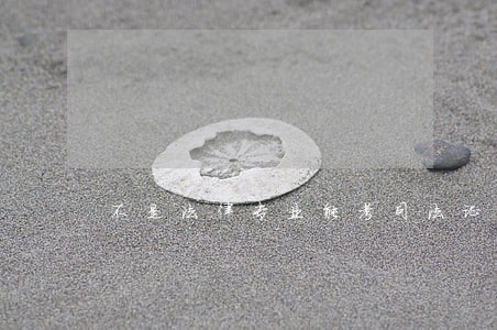 不是法律专业能考司法证