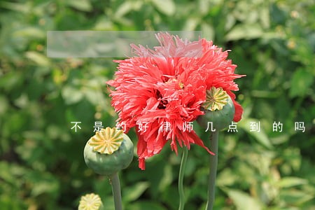 不是约好律师几点到的吗 不是约好律师几点到的吗