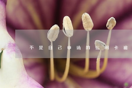 不是自己申请的信用卡逾期 不是自己申请的信用卡逾期