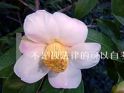 不是读法律的可以自考司法吗 不是读法律的可以自考司法吗