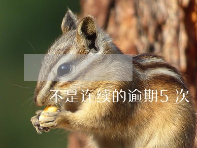 不是连续的逾期5次 不是连续的逾期5次