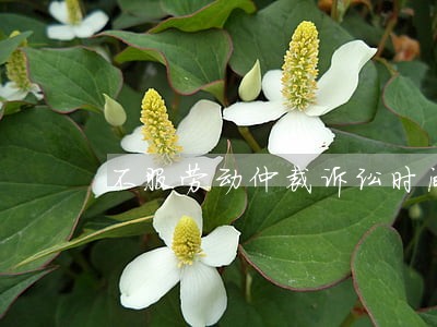 不服劳动仲裁诉讼时间是多久 不服劳动仲裁诉讼时间是多久