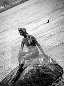 不服法院终审判决申请重审文书 不服法院终审判决申请重审文书