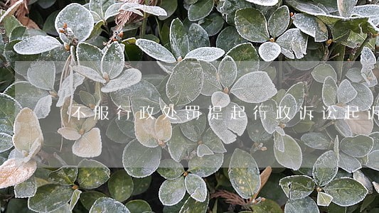 不服行政处罚提起行政诉讼起诉状