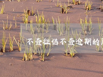 不查征信不查逾期的民间贷款 不查征信不查逾期的民间贷款
