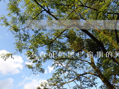 不查征信黑户逾期的网贷 不查征信黑户逾期的网贷