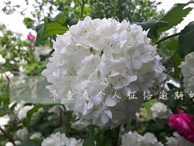 不查看个人征信逾期的网贷 不查看个人征信逾期的网贷