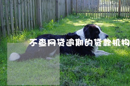 不查网贷逾期的贷款机构 不查网贷逾期的贷款机构