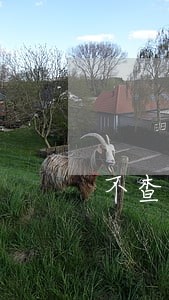 不查逾期秒下款的网贷口子 不查逾期秒下款的网贷口子