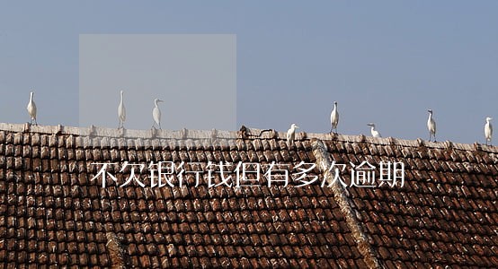 不欠银行钱但有多次逾期 不欠银行钱但有多次逾期