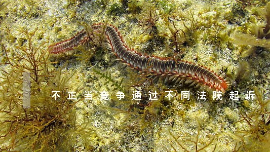 不正当竞争通过不同法院起诉