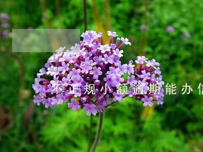 不正规小额逾期能办信用卡吗 不正规小额逾期能办信用卡吗