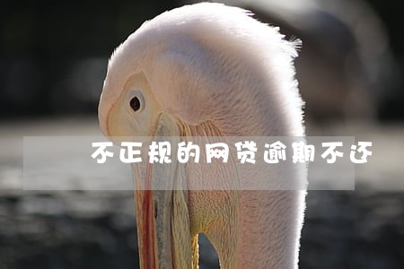 不正规的网贷逾期不还 不正规的网贷逾期不还