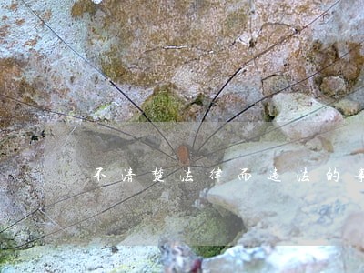 不清楚法律而违法的事件 不清楚法律而违法的事件