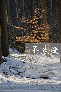不然受到法律制裁 不然受到法律制裁