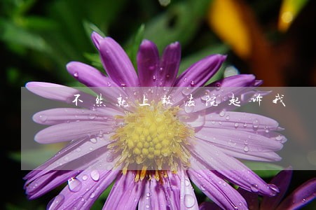 不然就上报法院起诉我 不然就上报法院起诉我
