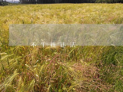 不生孩违法 不生孩违法