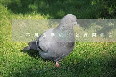 不用寄手机卡处理网贷逾期 不用寄手机卡处理网贷逾期