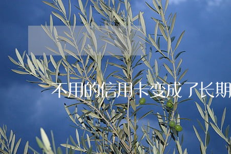 不用的信用卡变成了长期逾期