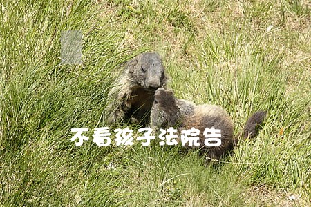 不看孩子法院告 不看孩子法院告