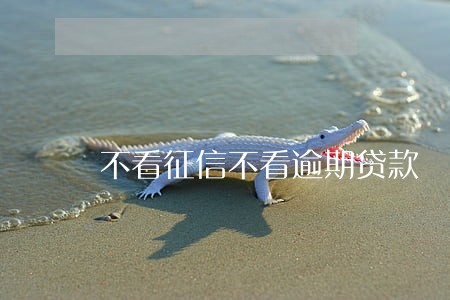 不看征信不看逾期贷款 不看征信不看逾期贷款