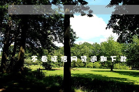 不看征信网贷逾期下款 不看征信网贷逾期下款