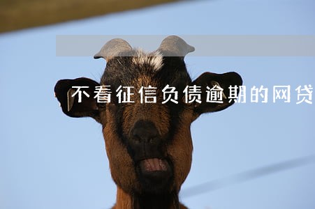 不看征信负债逾期的网贷