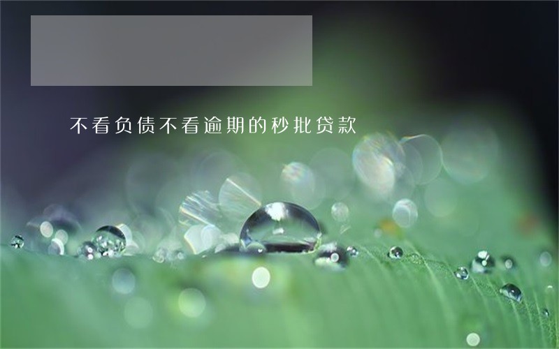 不看负债不看逾期的秒批贷款