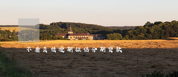 不看负债逾期征信分期贷款 不看负债逾期征信分期贷款