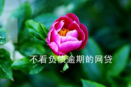 不看负债逾期的网贷 不看负债逾期的网贷