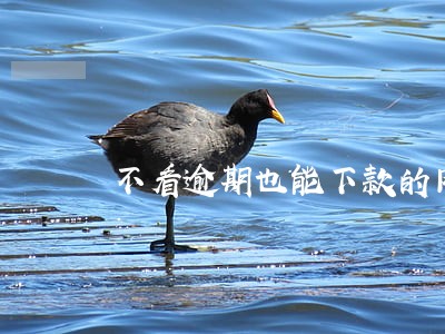 不看逾期也能下款的网贷平台 不看逾期也能下款的网贷平台