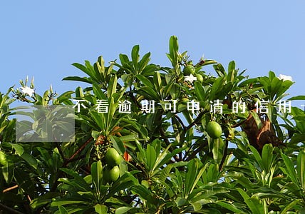 不看逾期可申请的信用卡 不看逾期可申请的信用卡