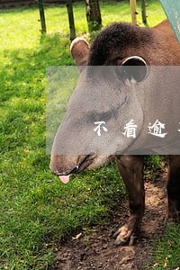 不看逾期和负债的贷款口子 不看逾期和负债的贷款口子
