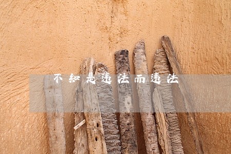 不知是违法而违法 不知是违法而违法