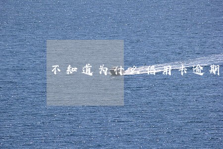 不知道为什么信用卡逾期