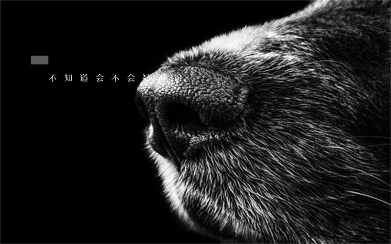 不知道会不会被诉讼 不知道会不会被诉讼