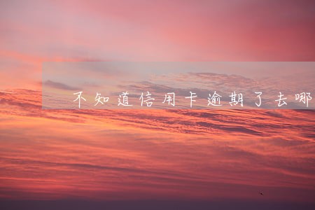 不知道信用卡逾期了去哪里查 不知道信用卡逾期了去哪里查