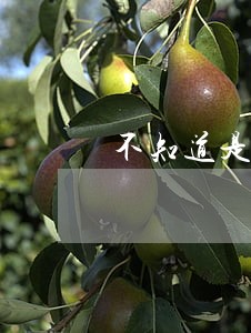 不知道是水车开上路违法么 不知道是水车开上路违法么