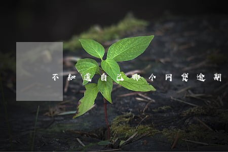 不知道自己哪个网贷逾期怎么办