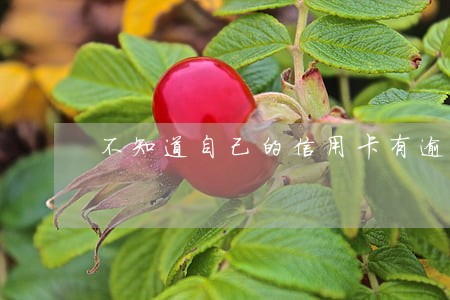 不知道自己的信用卡有逾期额未还 不知道自己的信用卡有逾期额未还