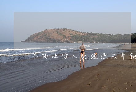 不礼让行人交通违法车辆