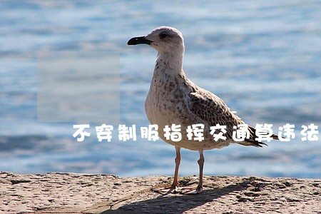 不穿制服指挥交通算违法吗