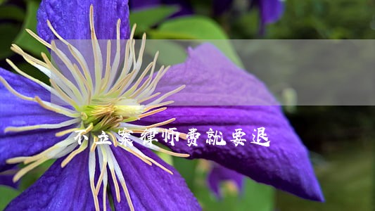 不立案律师费就要退 不立案律师费就要退