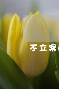 不立案的逾期p2p 不立案的逾期p2p