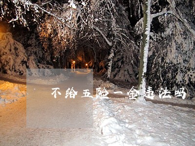 不给五险一金违法吗 不给五险一金违法吗