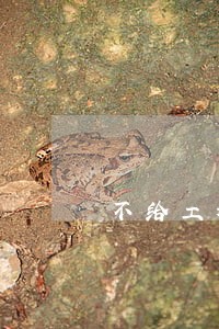 不给工程款堵楼违法吗 不给工程款堵楼违法吗