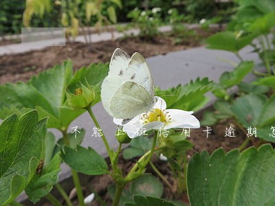 不能上班信用卡逾期怎么办 不能上班信用卡逾期怎么办