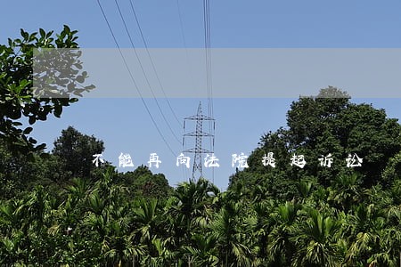 不能再向法院提起诉讼 不能再向法院提起诉讼