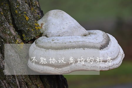 不能协议离婚的程序 不能协议离婚的程序